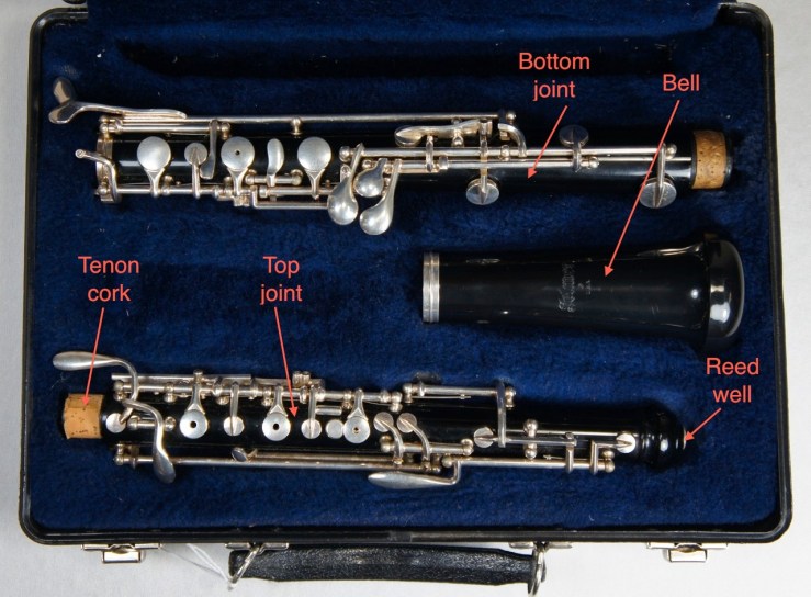 Student Model Oboe